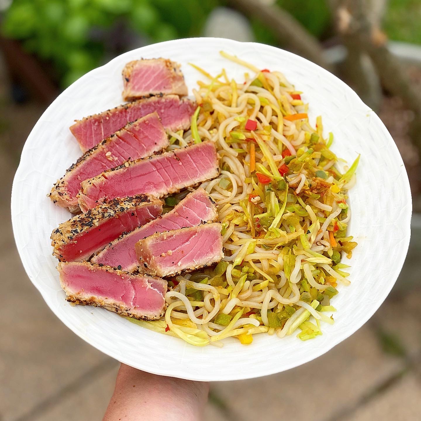 Seared Ahi Tuna Steak + Shirataki Noodle Stir Fry Emyogifit